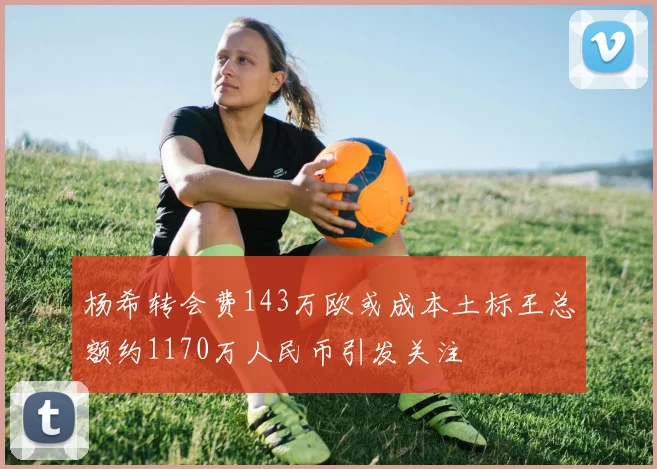 杨希转会费143万欧或成本土标王总额约1170万人民币引发关注
