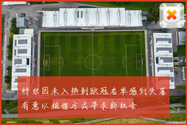 特尔因未入热刺欧冠名单感到失落有意以租借方式寻求新机会