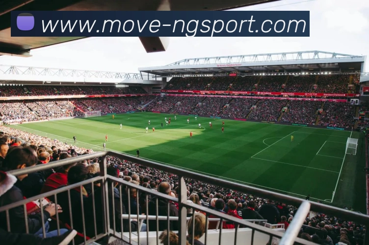 App Interface Preview